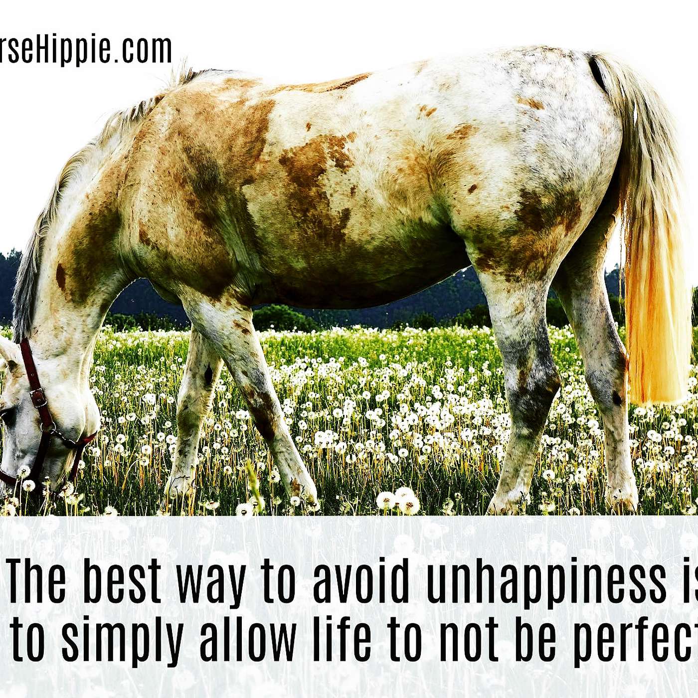 Accepting Life As It Is