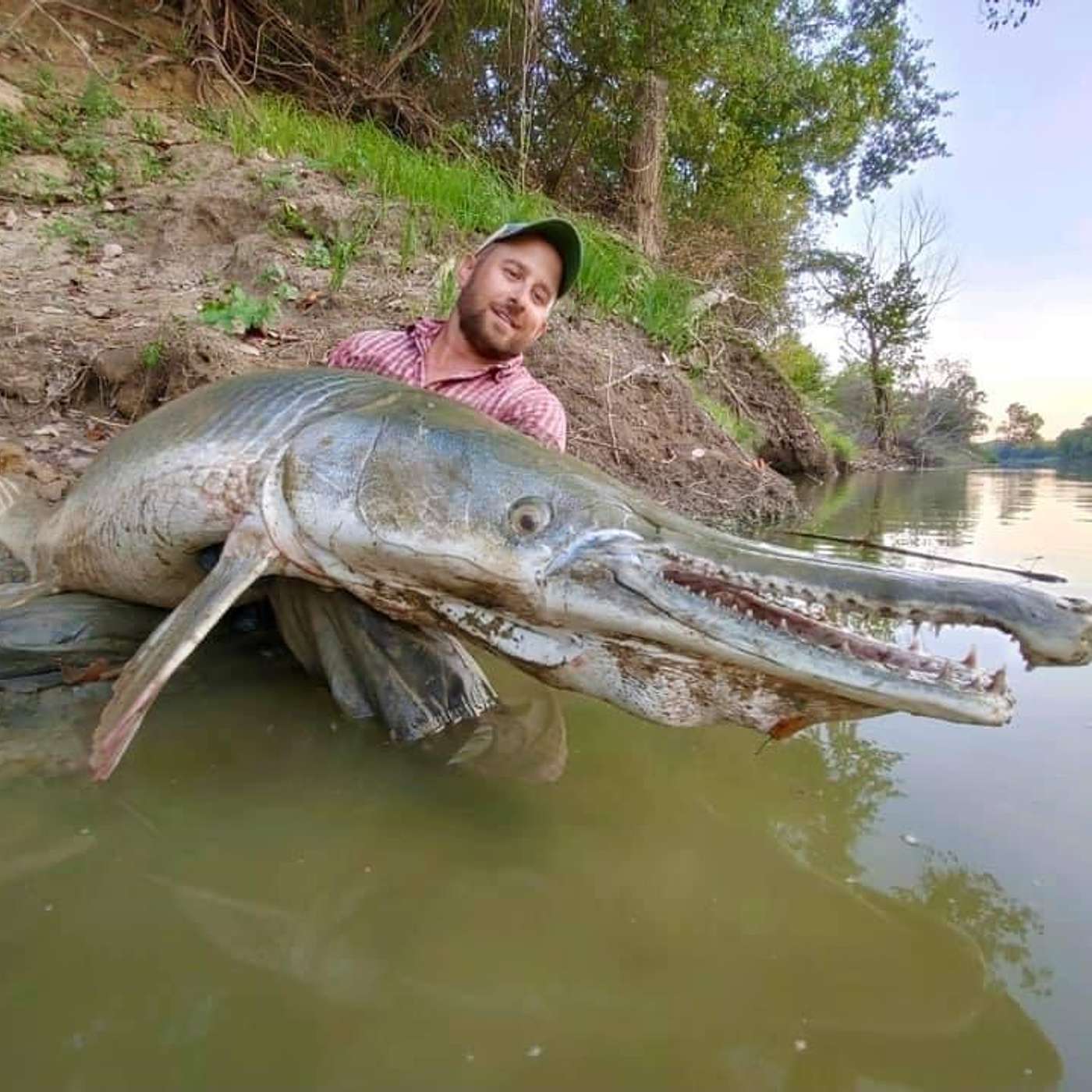 The Evolving Angler