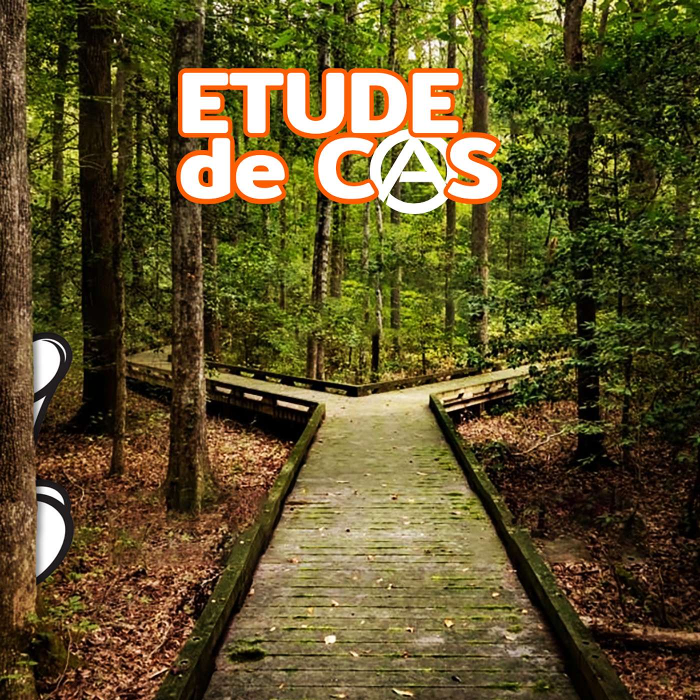 Stéphane Edouard • Études de cas