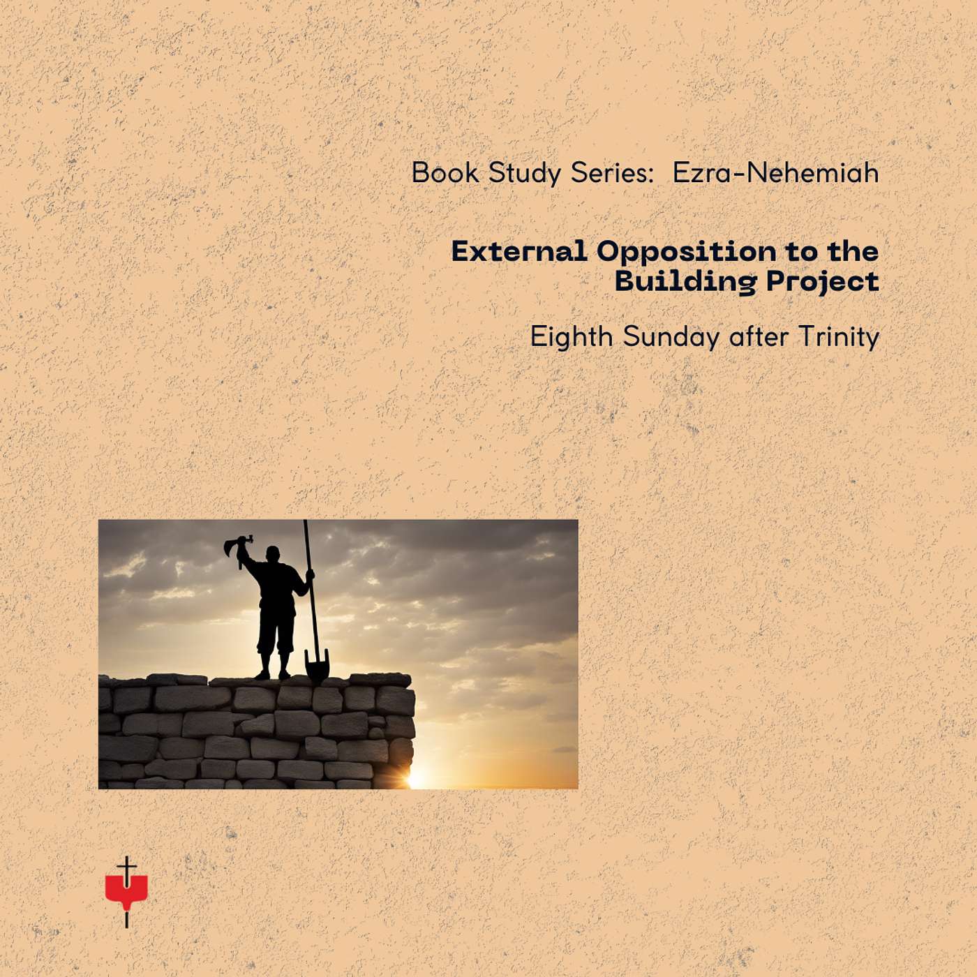 External Opposition to the Building Project