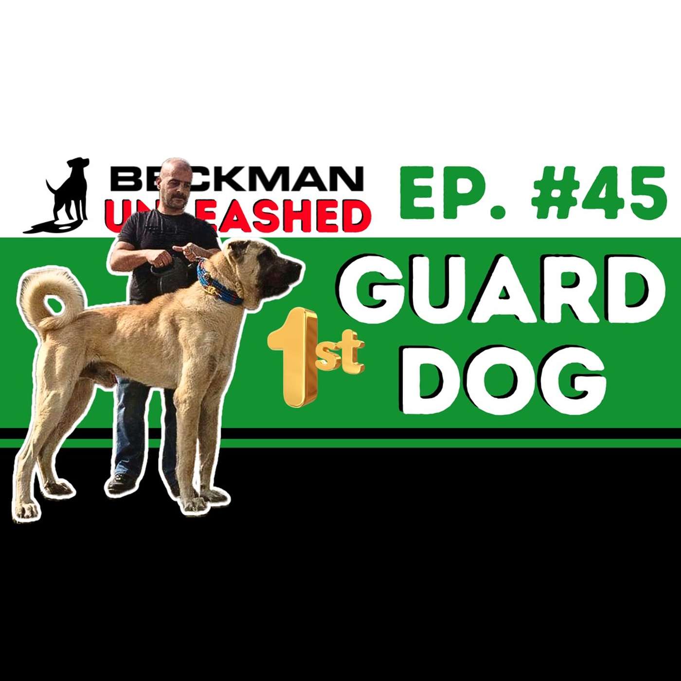 Ep. 45 - How to train your dog to guard you & your home.  Major change coming to the Podcast!