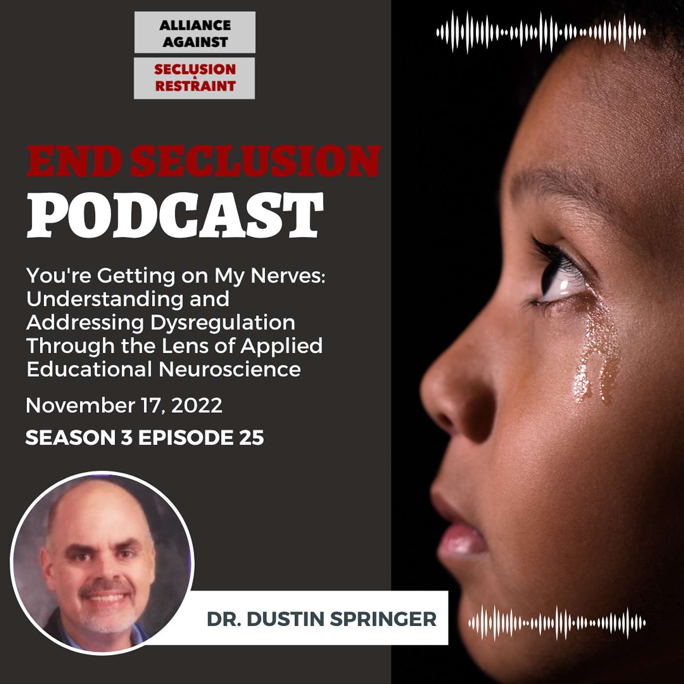 You're Getting on My Nerves:  Understanding and Addressing Dysregulation Through the Lens of Applied Educational Neuroscience with Dr. Dustin Springer