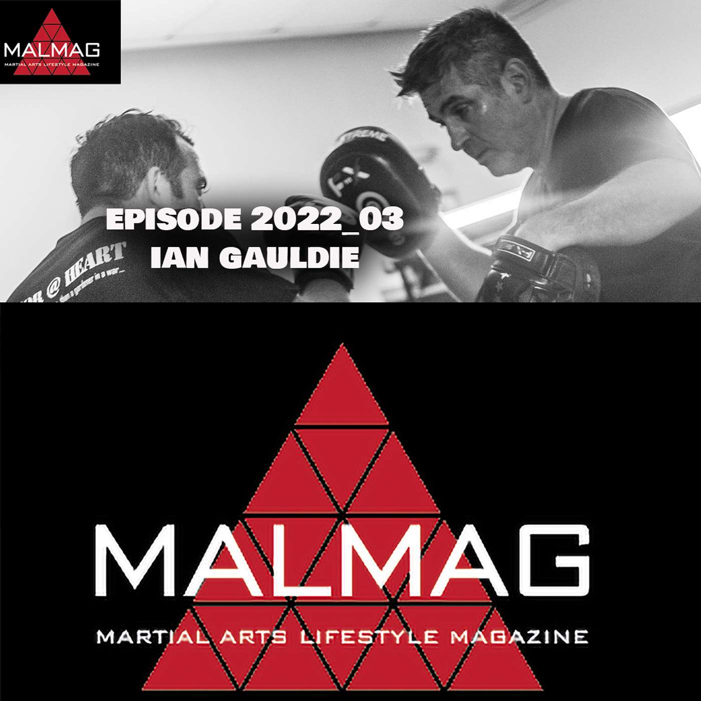 The Martial Arts Lifestyle Podcast