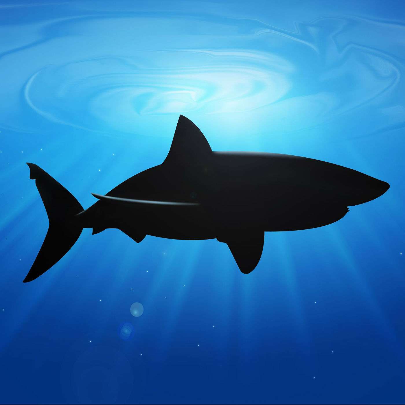 Straight Talk Wealth Radio