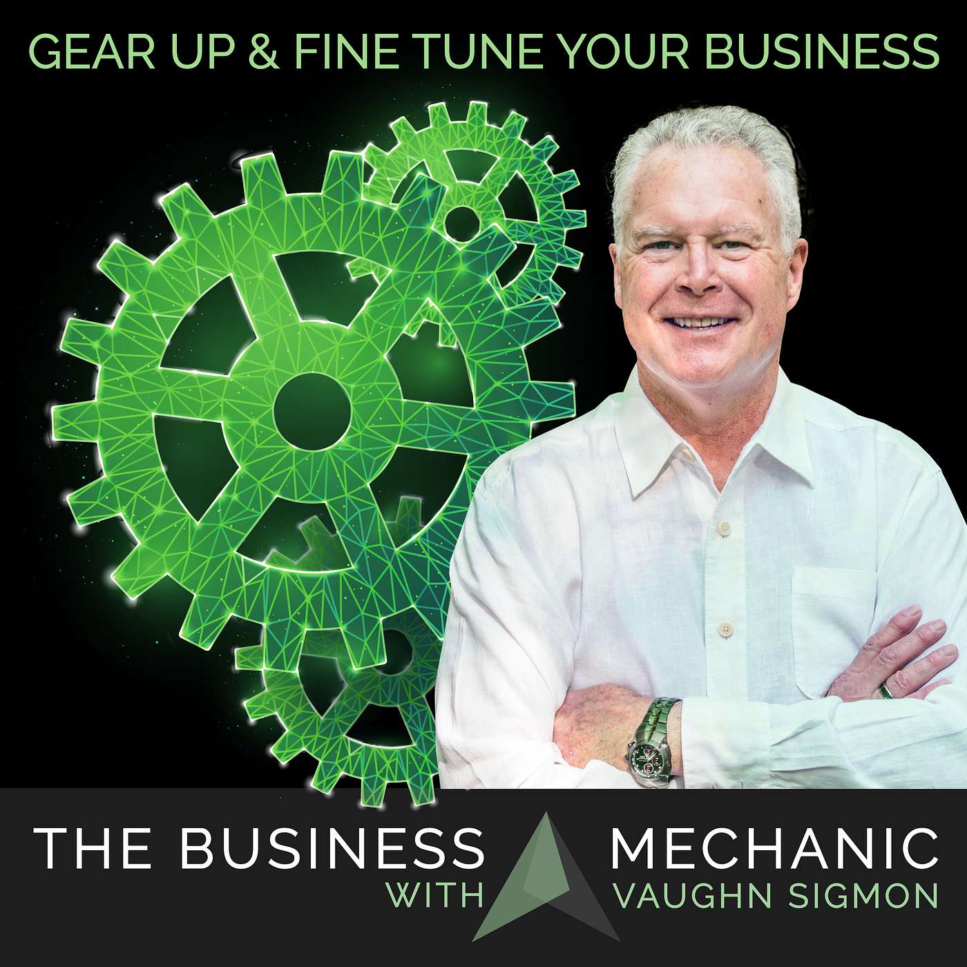The Business Mechanic Show podcast artwork