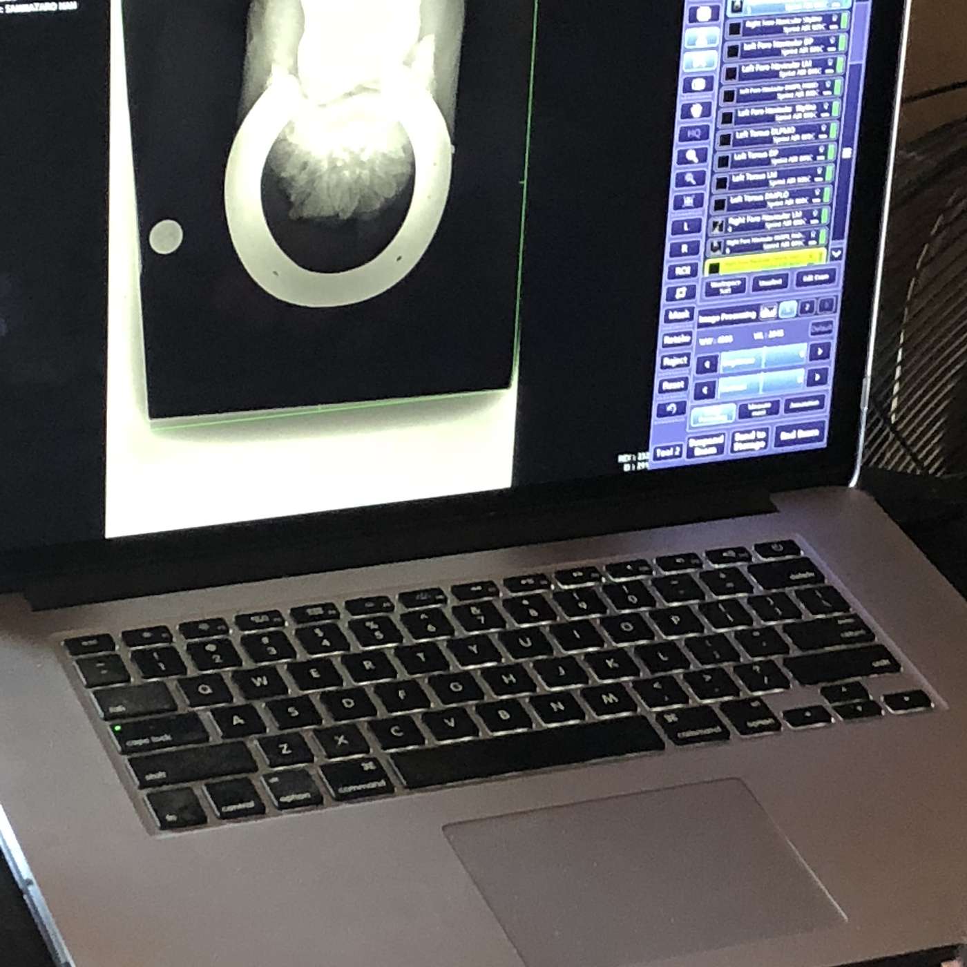 Episode 29: Save the Tire Kicking for the Car Lot, And Other Horse Buying Do's and Don'ts