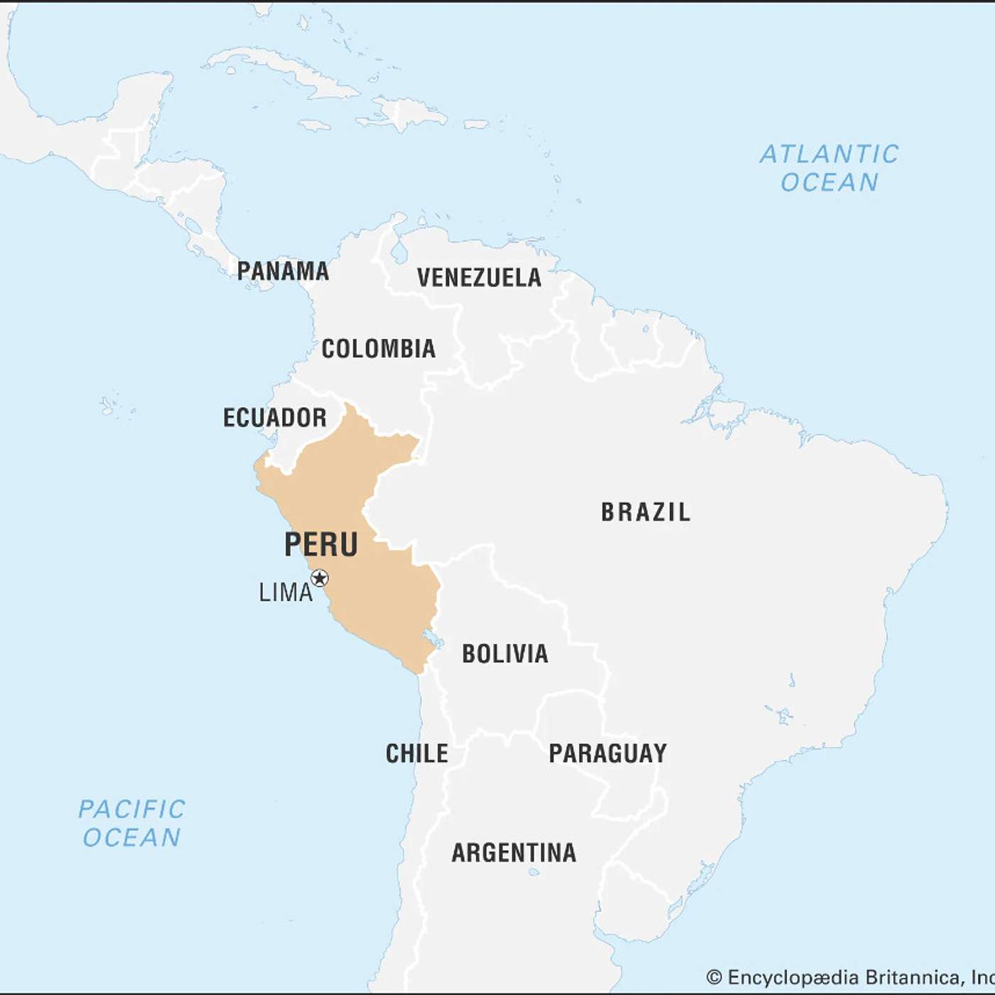 295. Political and Security Developments in Peru (2023-2024).