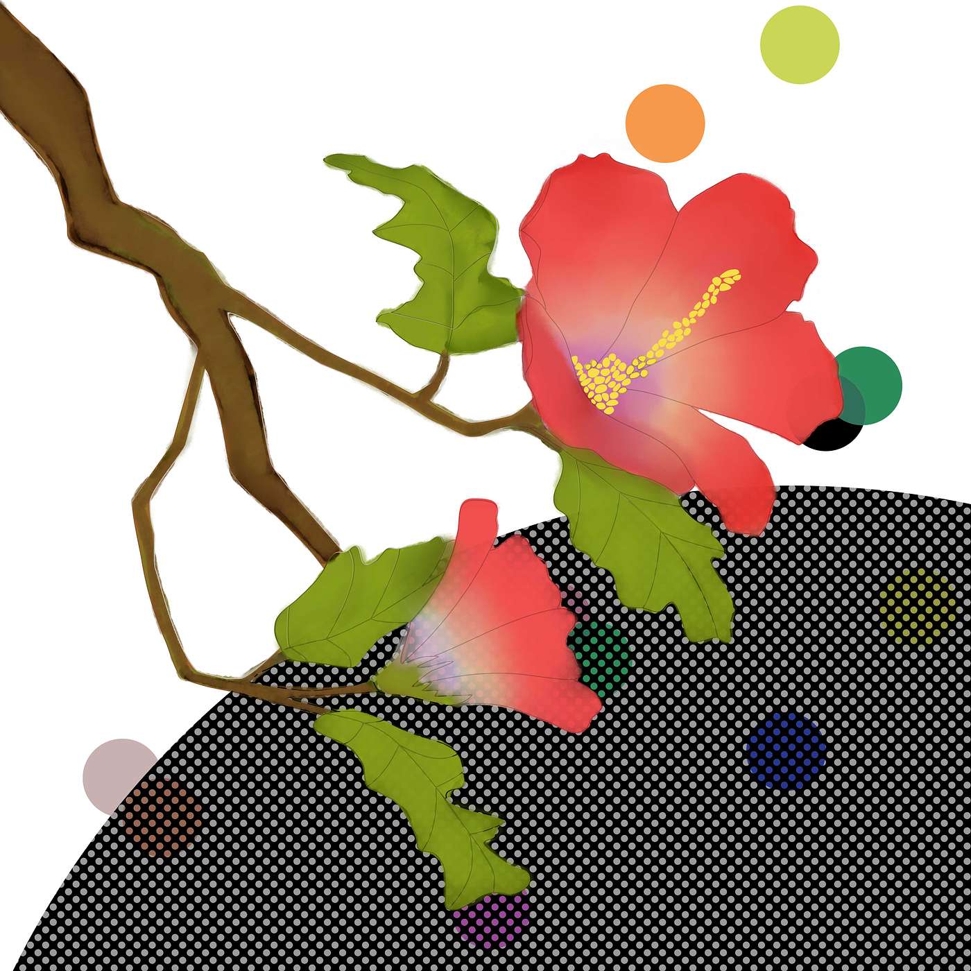 Gratitude Blooming Podcast