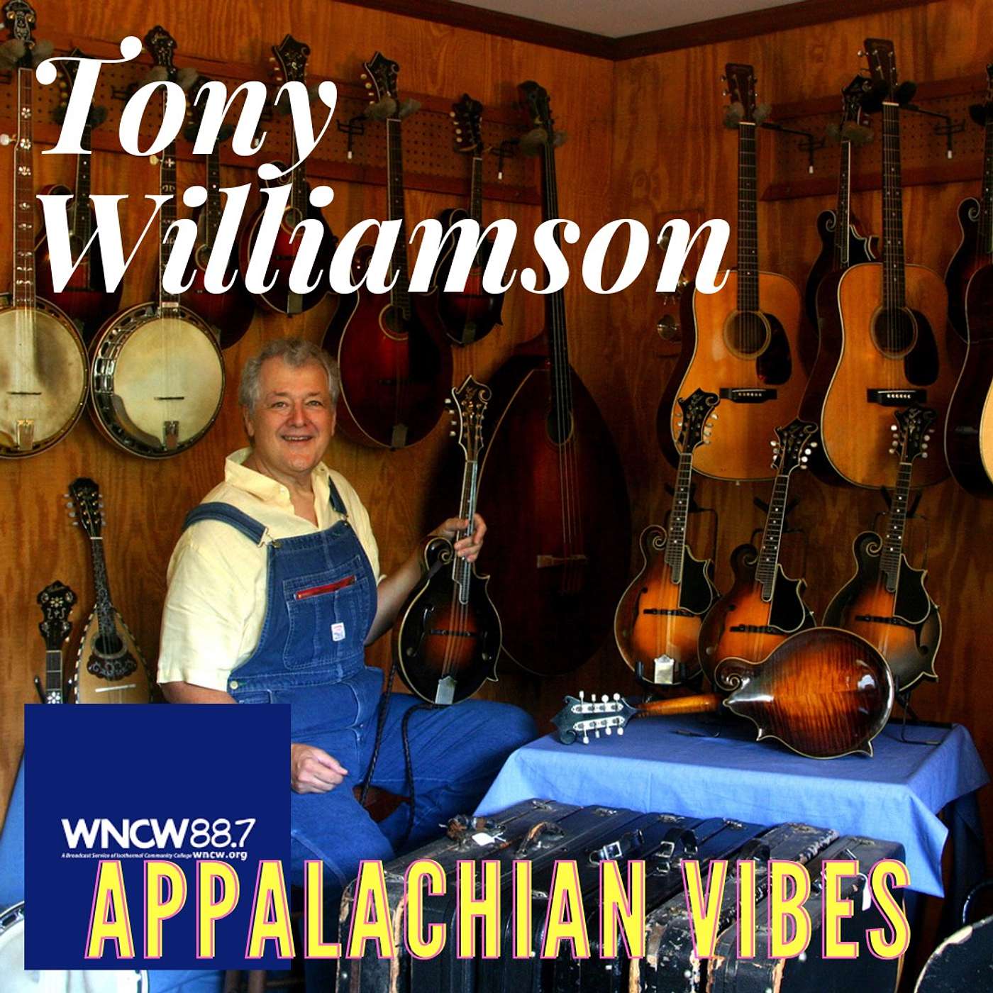 Appalachian Vibes Radio Show
