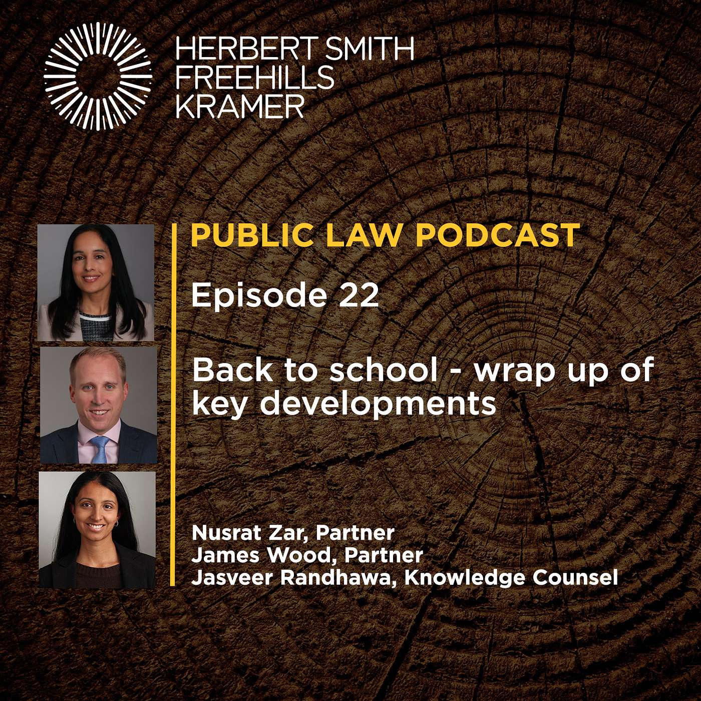 Public Law Podcast EP22: Back to school - wrap up of key developments episode artwork