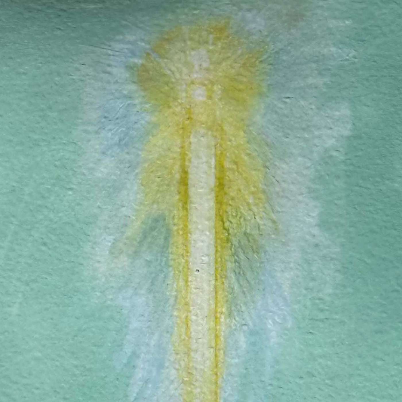 Earth Sanctuary: Experience the Magic