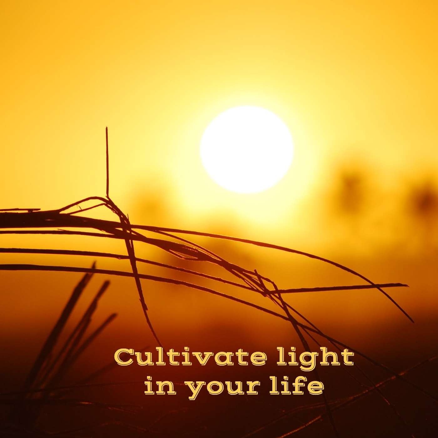 #74 Cultivate light in your life episode artwork