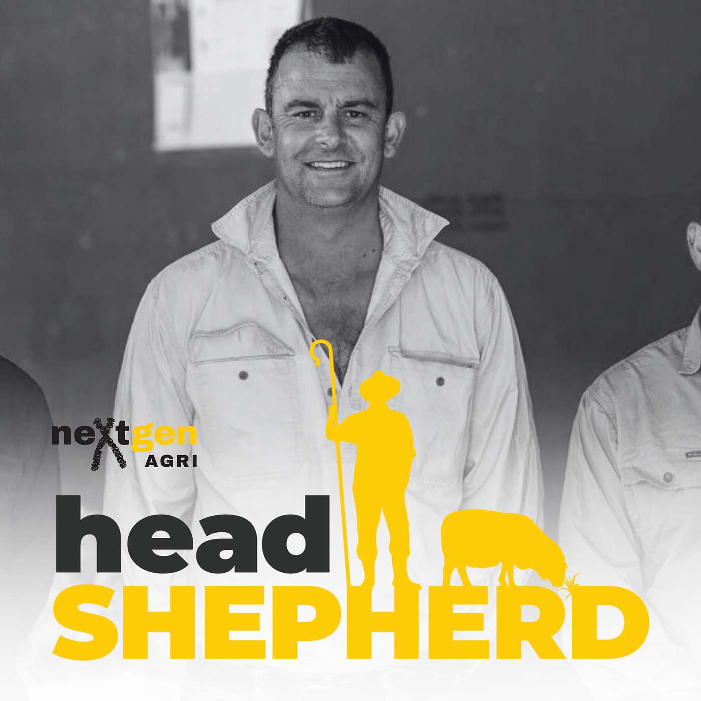 Breeding a multi-dimensional, modern merino at Willera with Simon Coutts