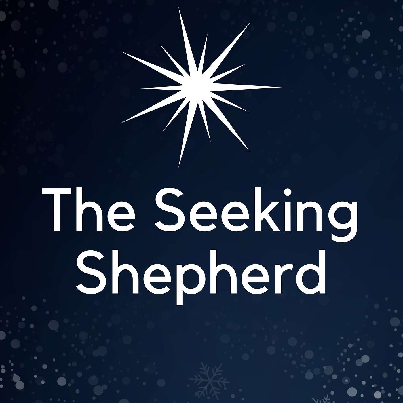 The Seeking Shepherd -- Ezekiel 34:11-24 episode artwork