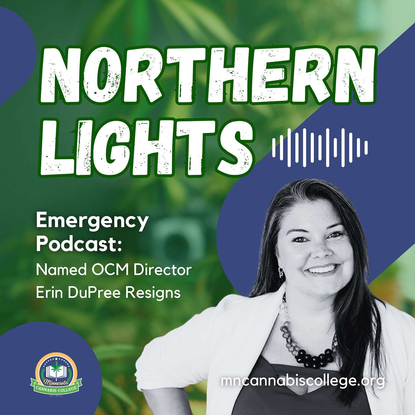 Northern Lights