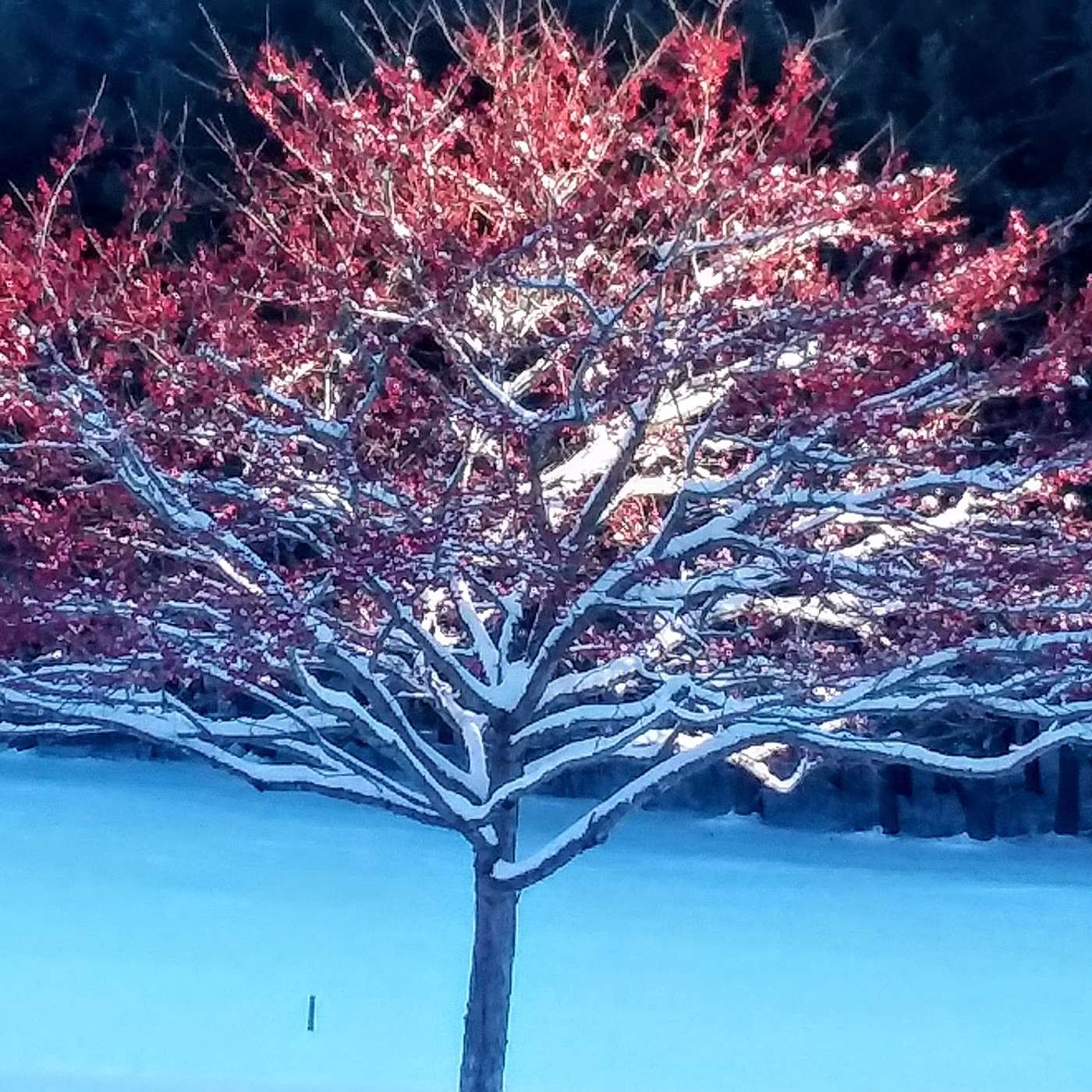 Noticing on Purpose Payoff