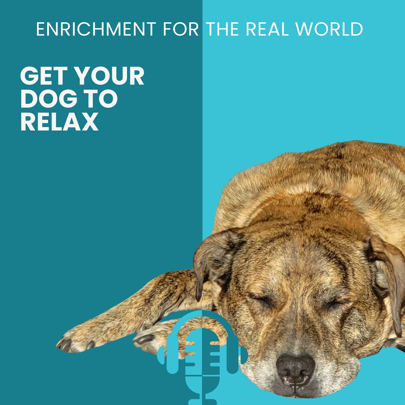 #175 - Get Your Dog to Relax episode artwork