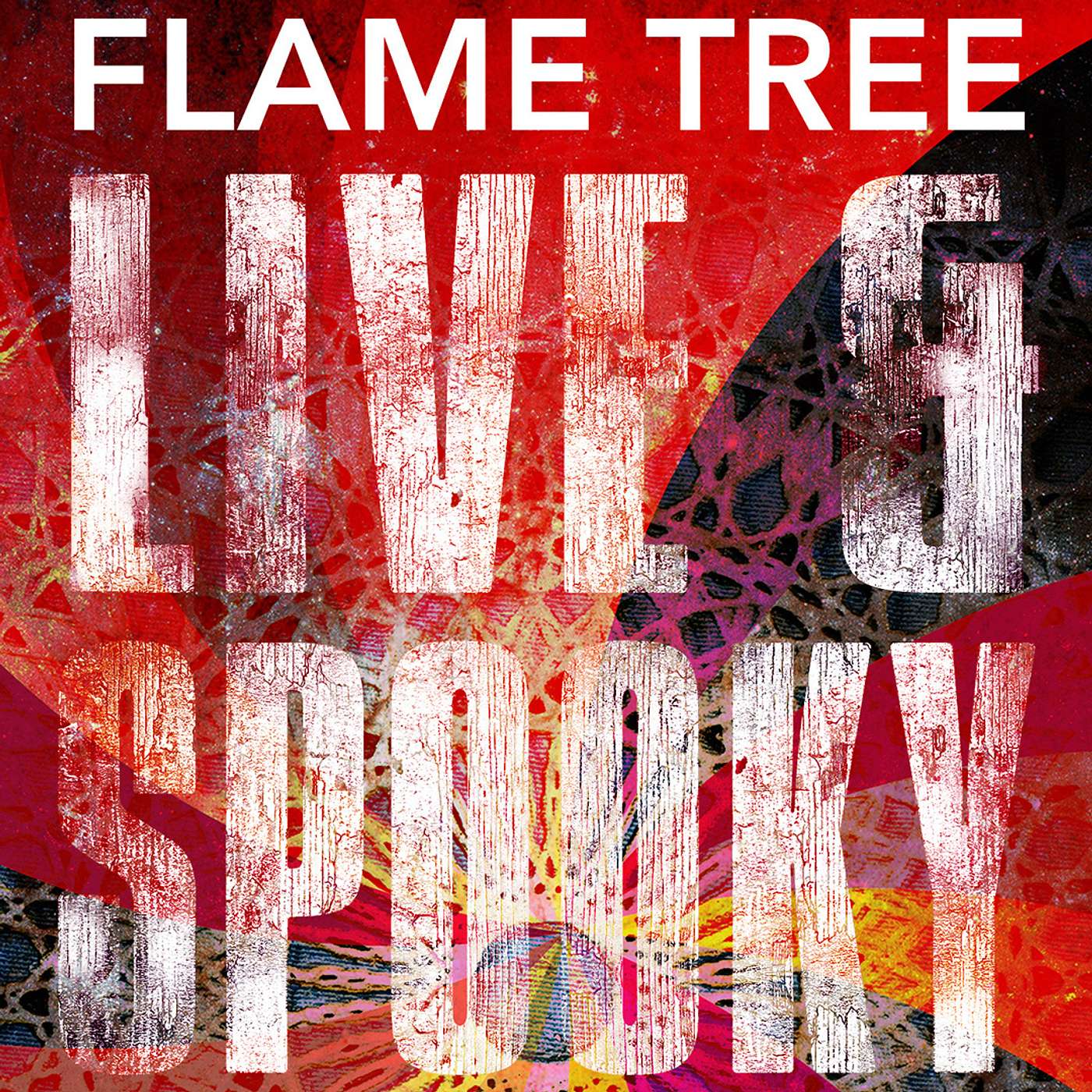 Behind This Way Lies Madness