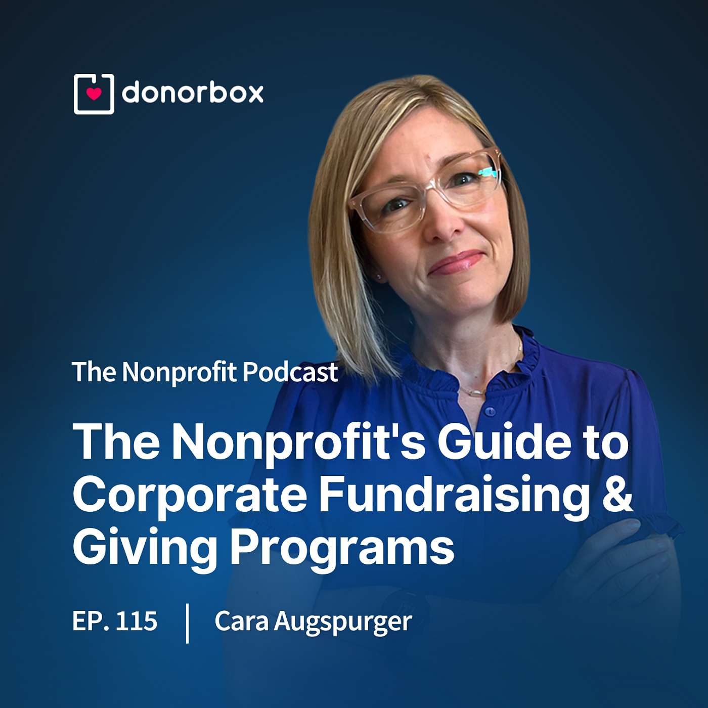 The Nonprofit Podcast