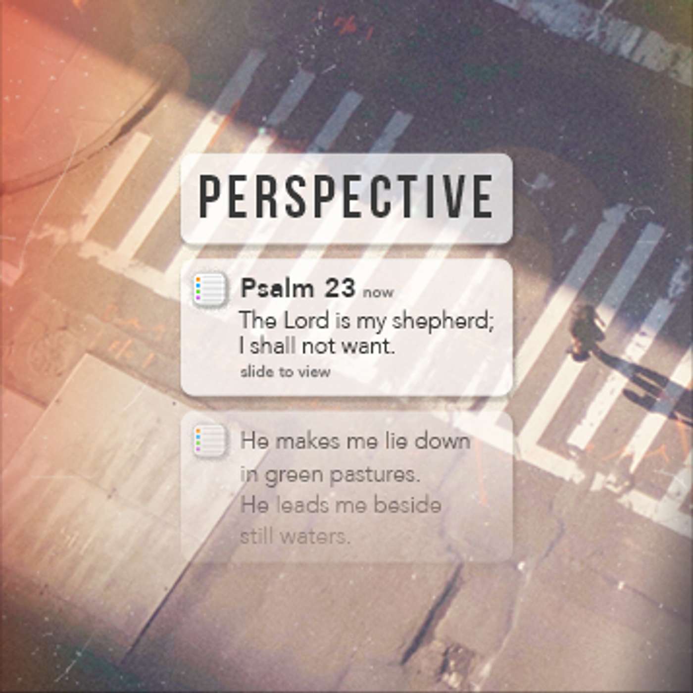 Perspective (Week 3: Protection) - Michael Paderes