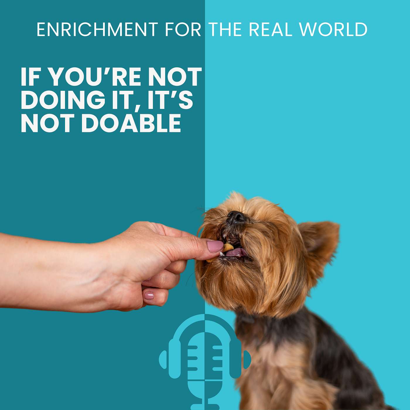 #150 - If You Aren’t Doing It, It's Not Doable