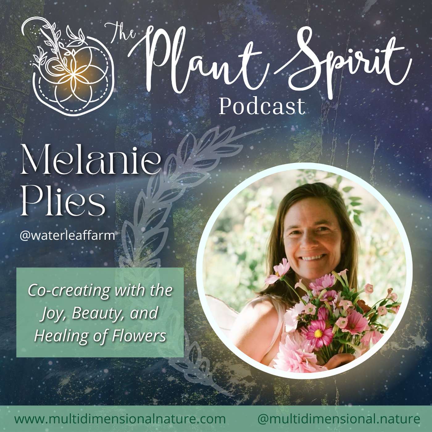 Co-creating with the Joy, Beauty, and Healing of Flowers with Melanie Plies