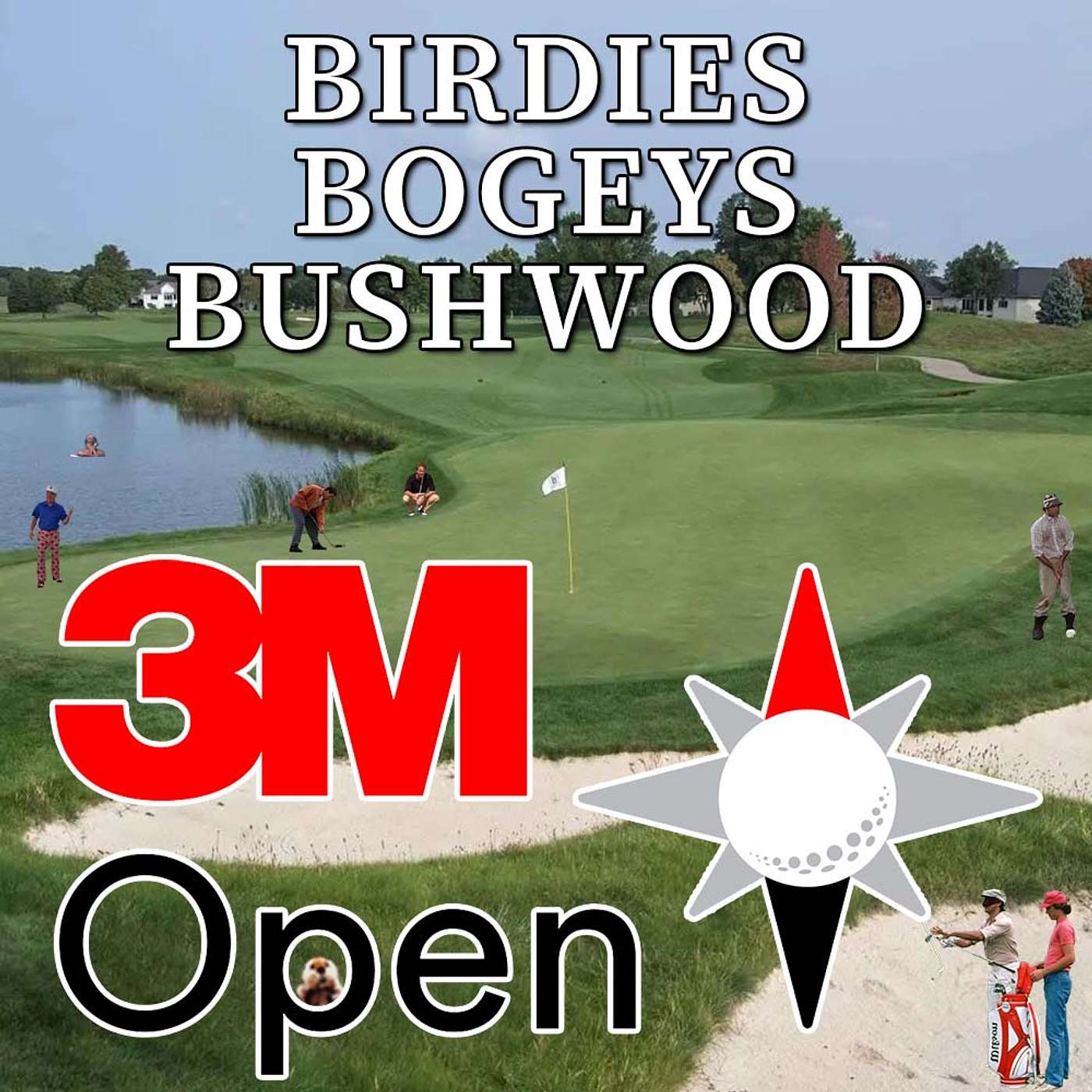 2025 3M Open PREVIEW: Draftkings + One-and-Done Picks + Best Bets from Birdies, Bogeys, Bushwood episode artwork