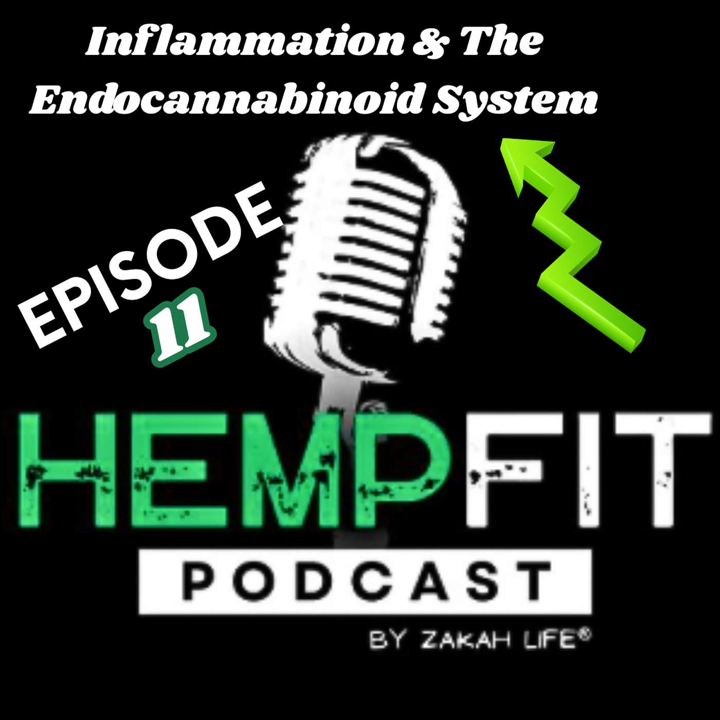 Episode 11 – Inflammation & The Endocannabinoid System: How Hemp Supports Your Body’s Natural Healing
