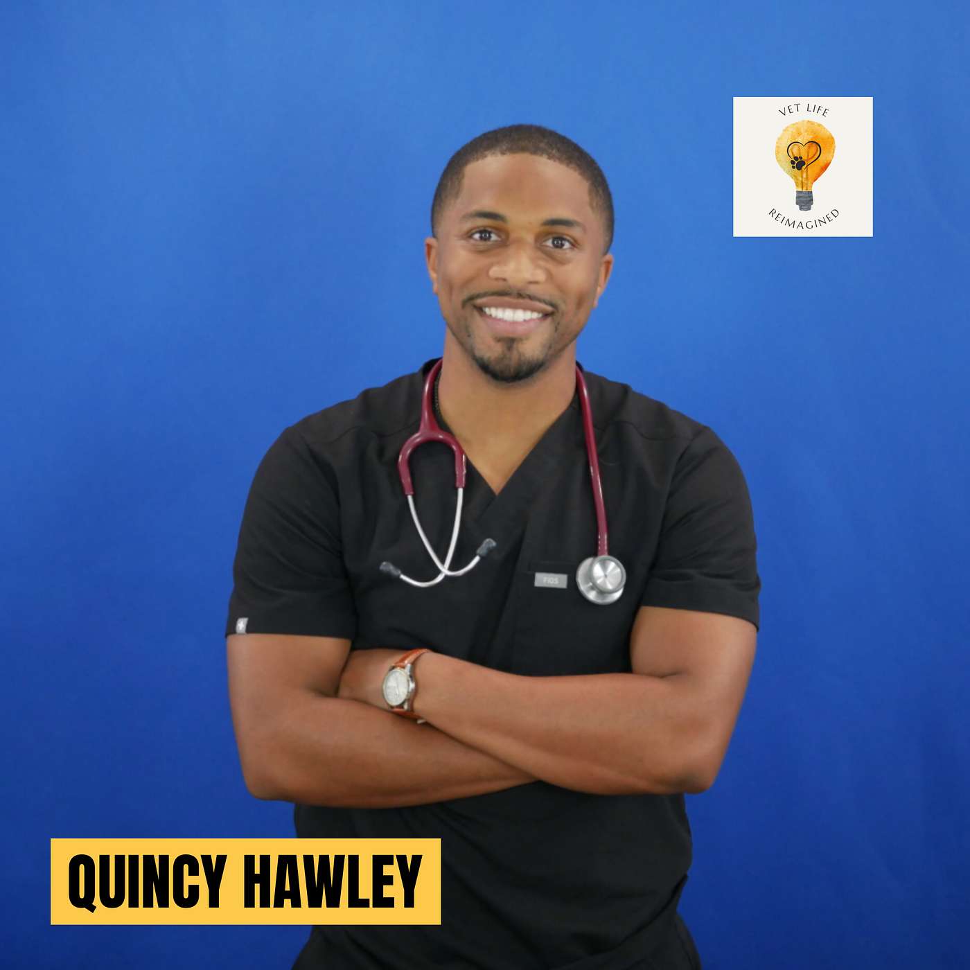 Wellbeing in Vet Med: From Struggle to Purpose with Dr. Quincy Hawley Wellbeing in Vet Med: From Struggle to Purpose with Dr. Quincy Hawley