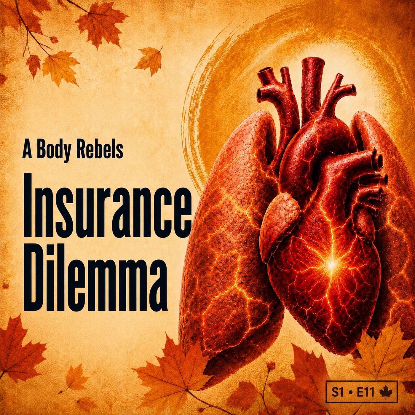The $280,000 Question: Do I Change My Doctors or My Insurance? episode artwork