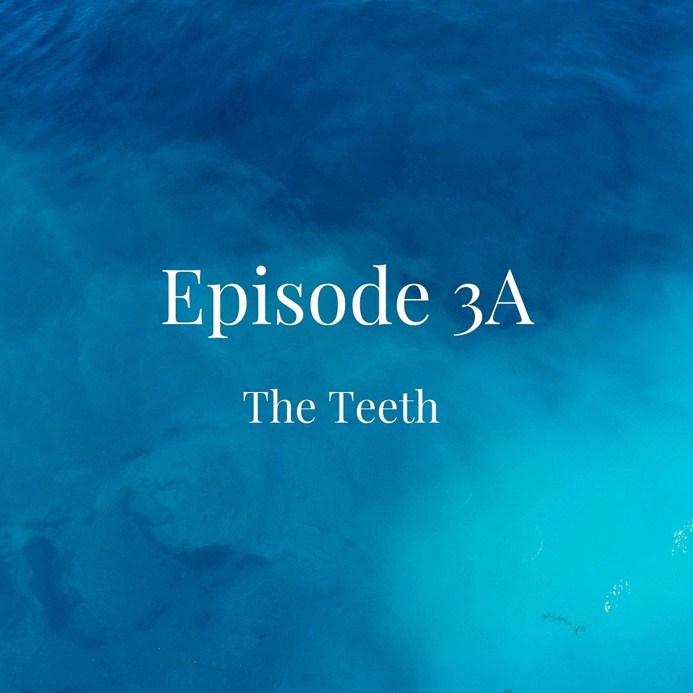 3A: The Teeth