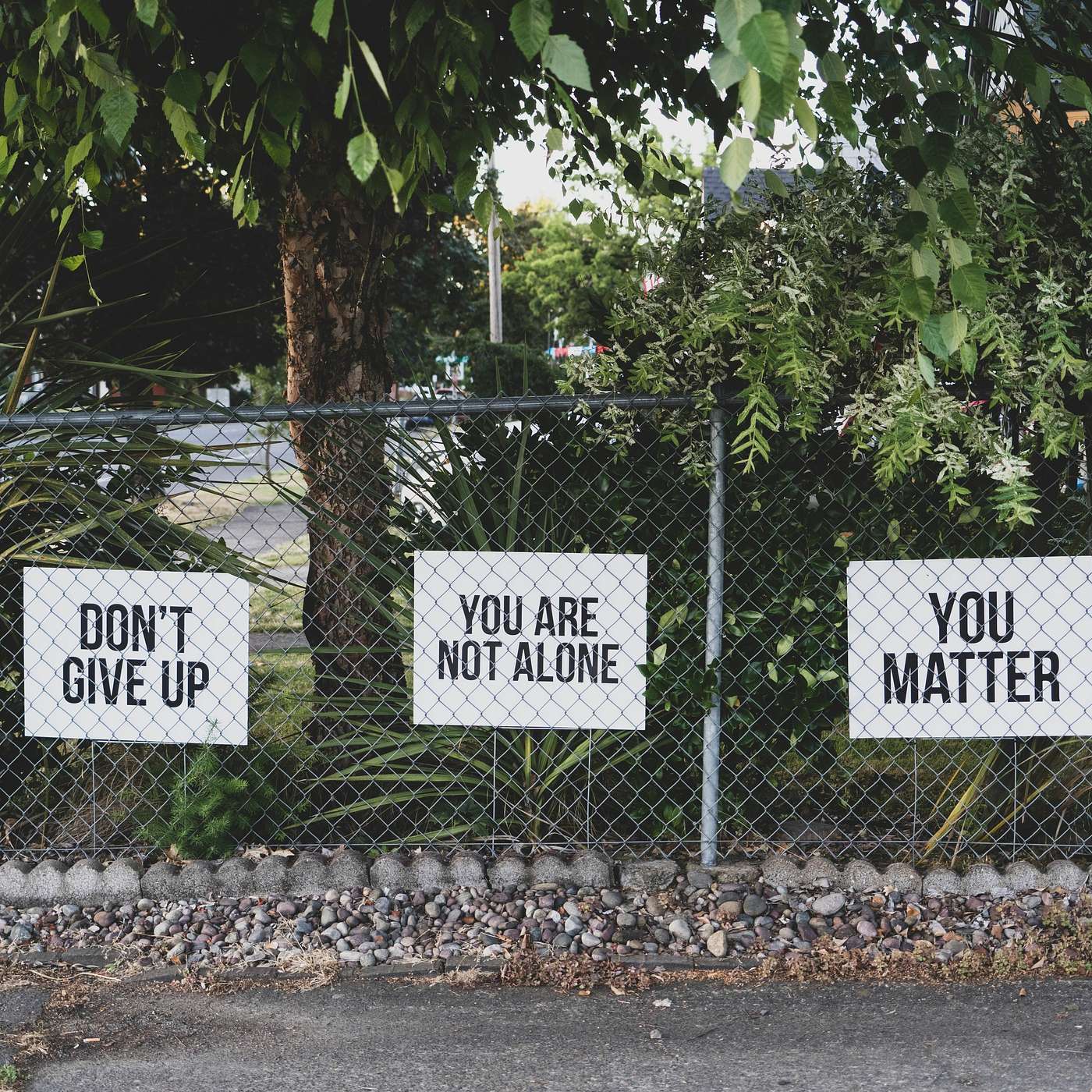 How to Help Someone Suicidal: Warning Signs, Crisis Lines, and Real Stories