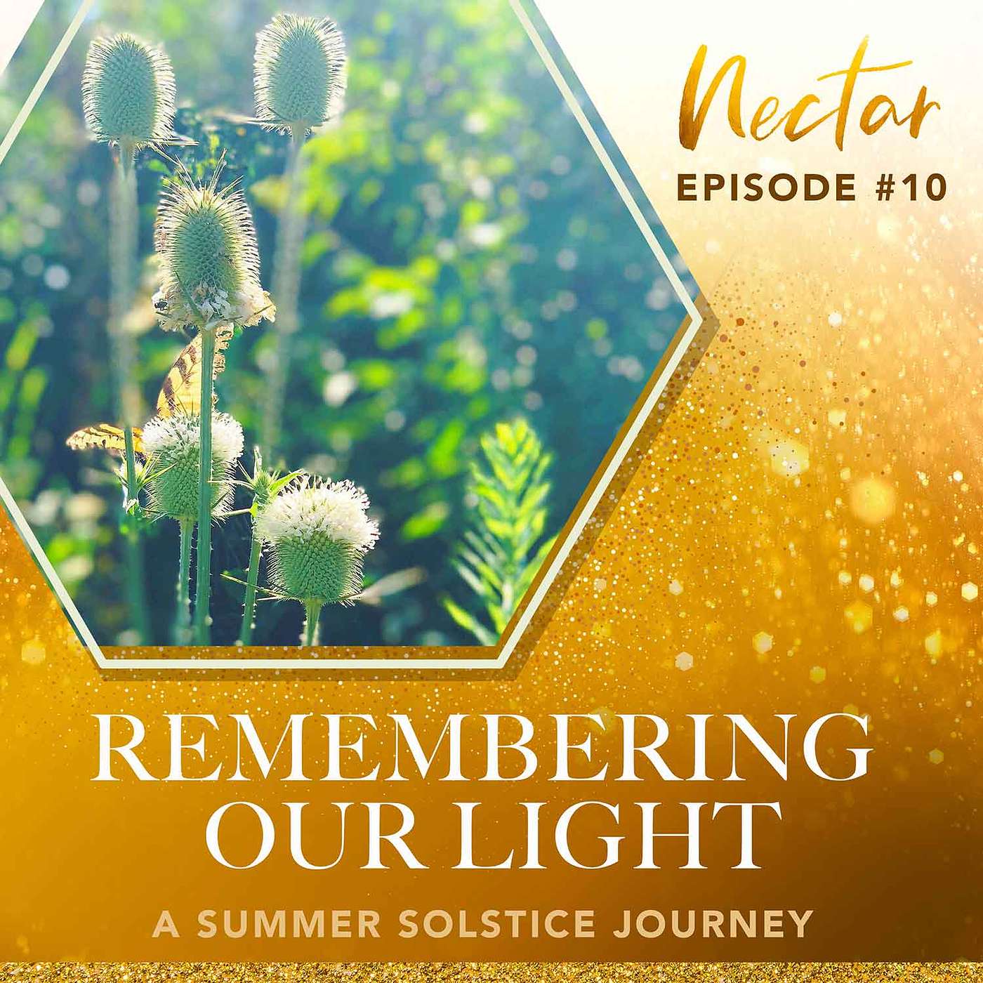 Remembering Our Light episode artwork
