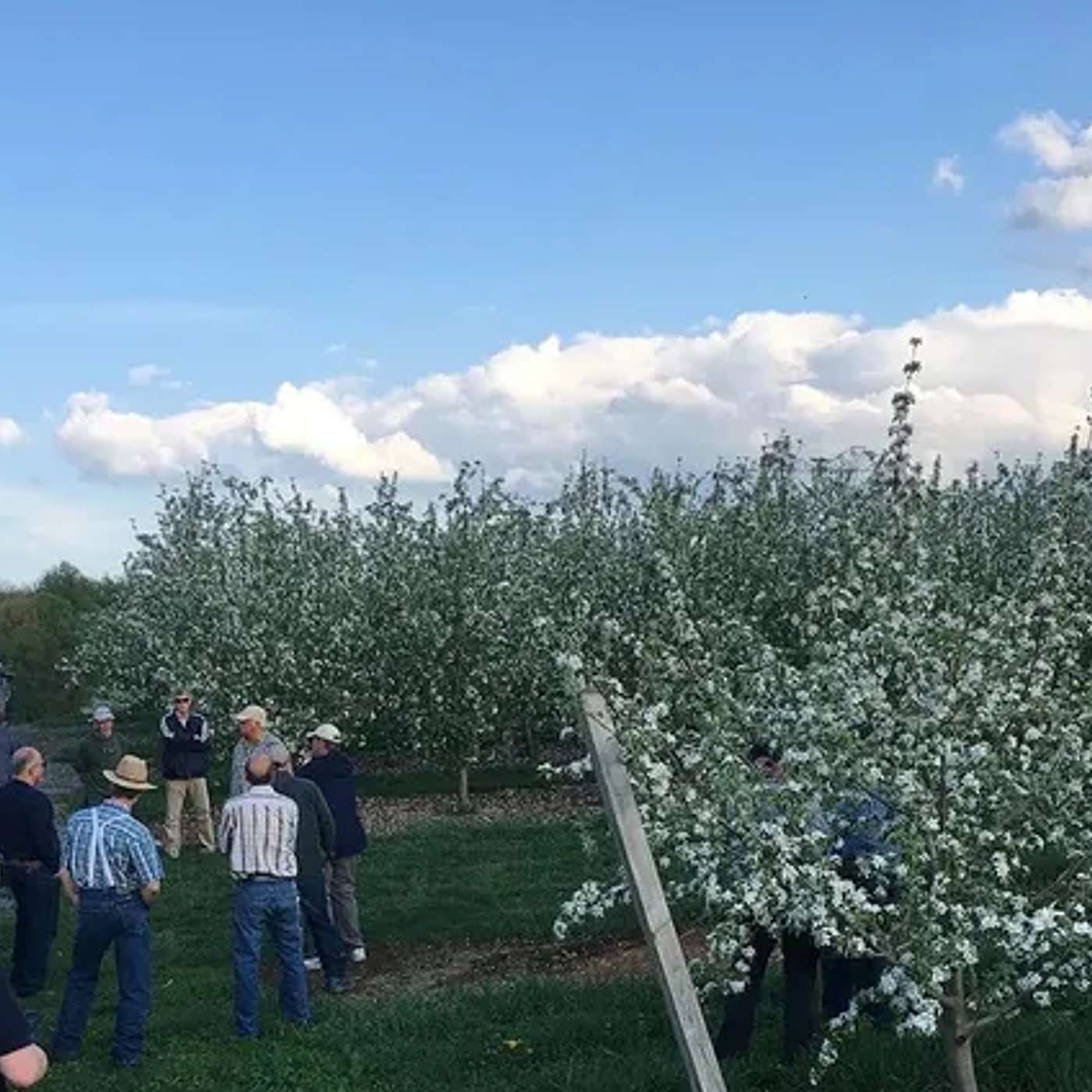 Season 7, Episode 2 - End of Winter Wins Season 7, Episode 2 - End of Winter Wins