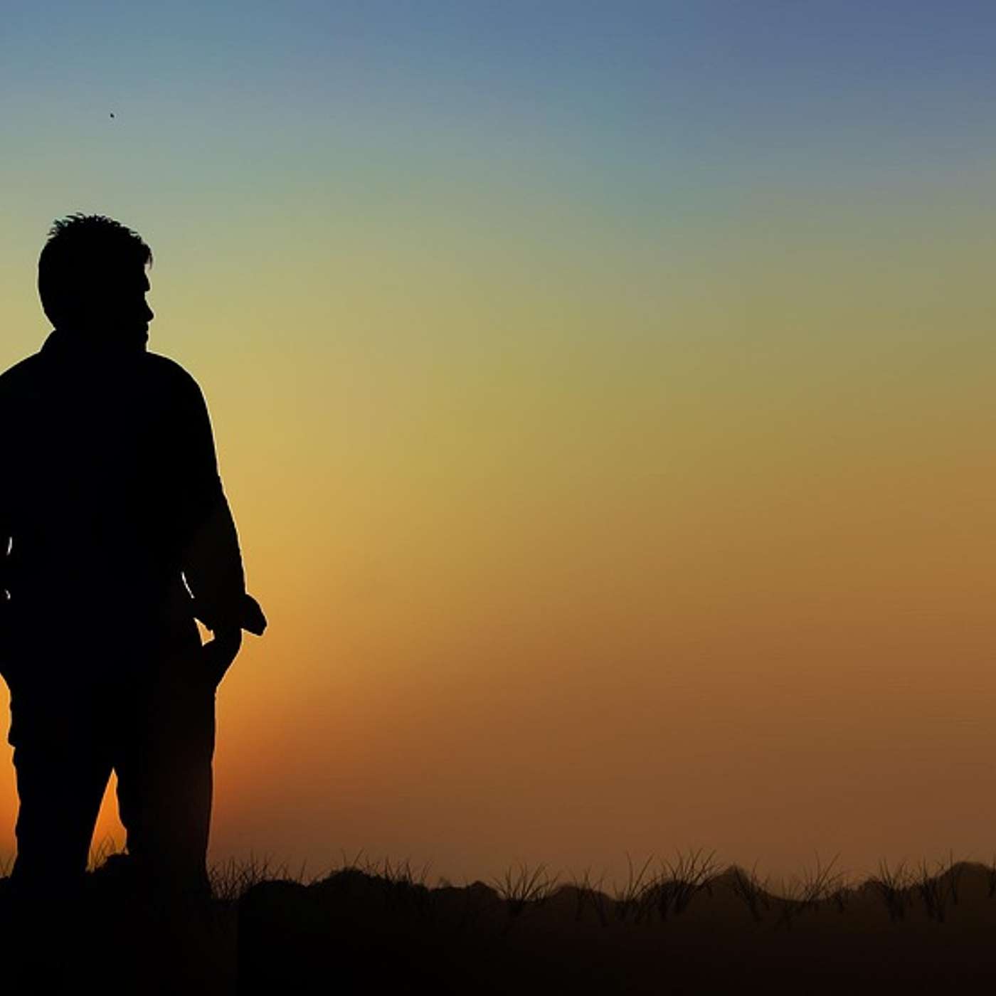 dotpaw podcast - Sequestered