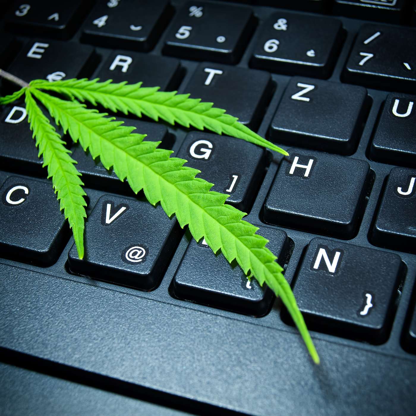 Reefer Rights? Weed, The Workplace and What's Legal
