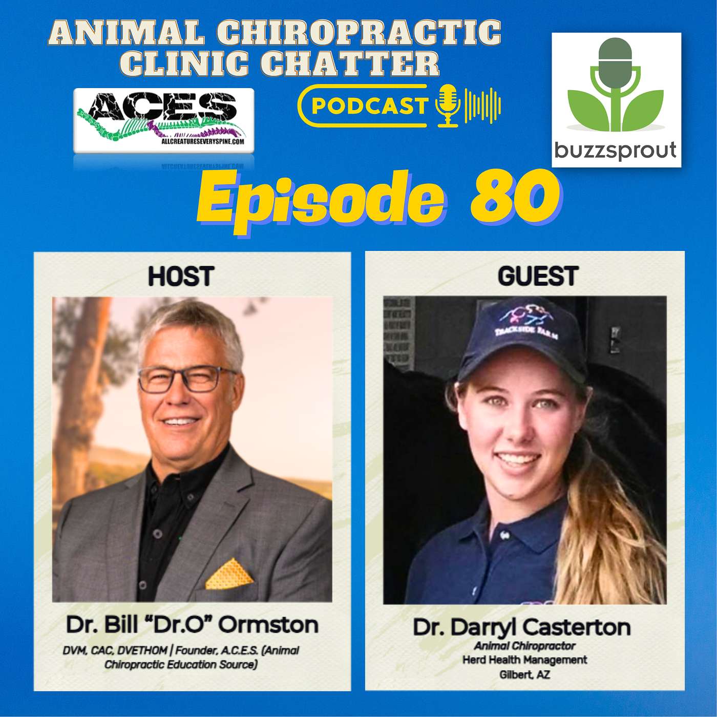 Animal Chiropractic Clinic Chatter