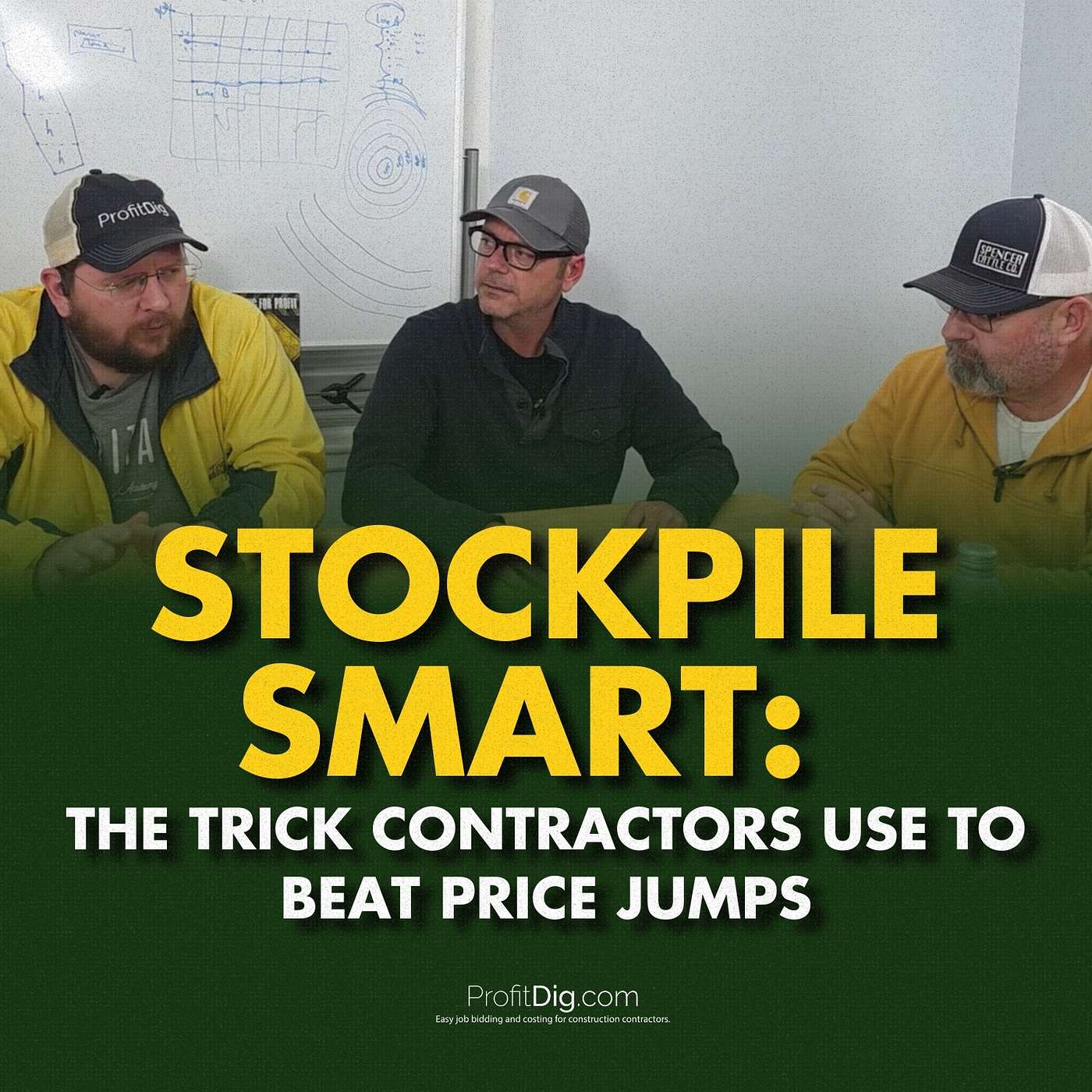 The ProfitDig Radio Show