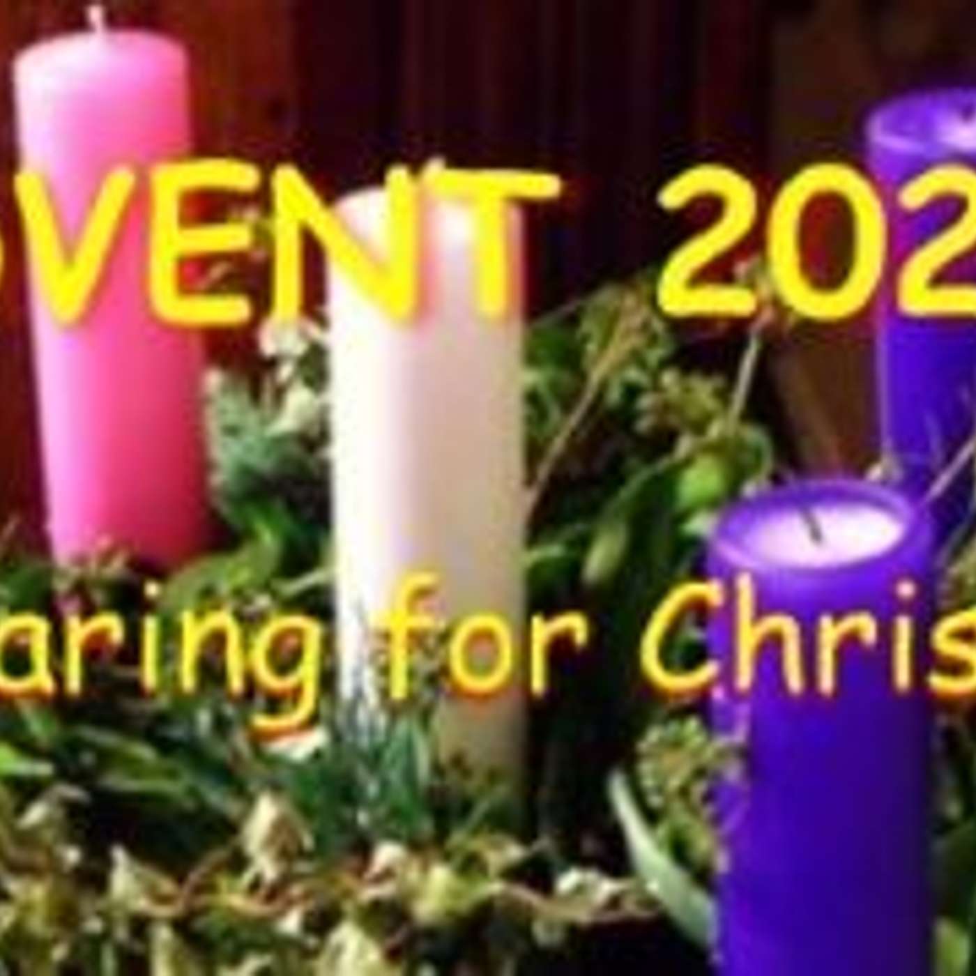 Advent - Shepherds and Sheep
