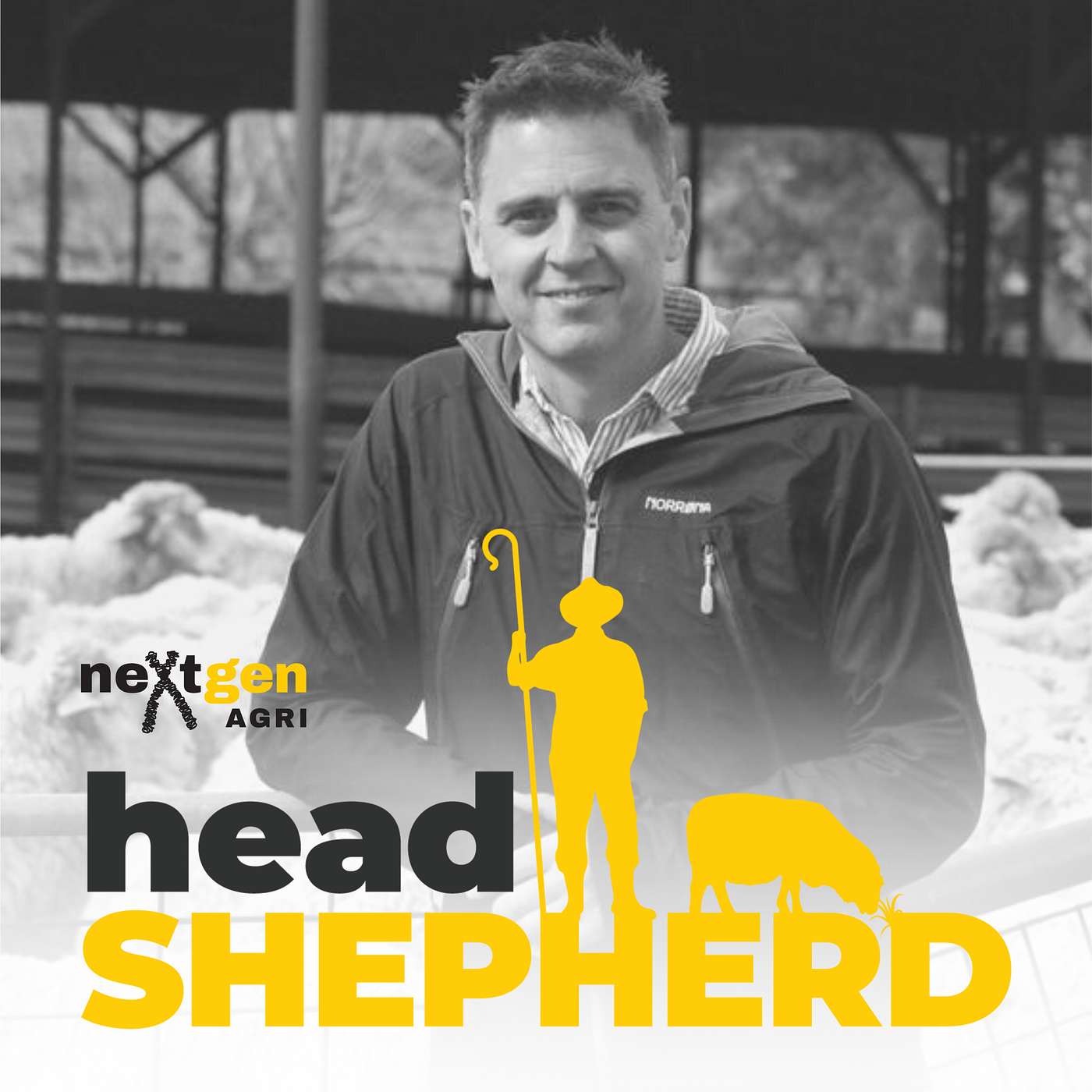 Head Shepherd