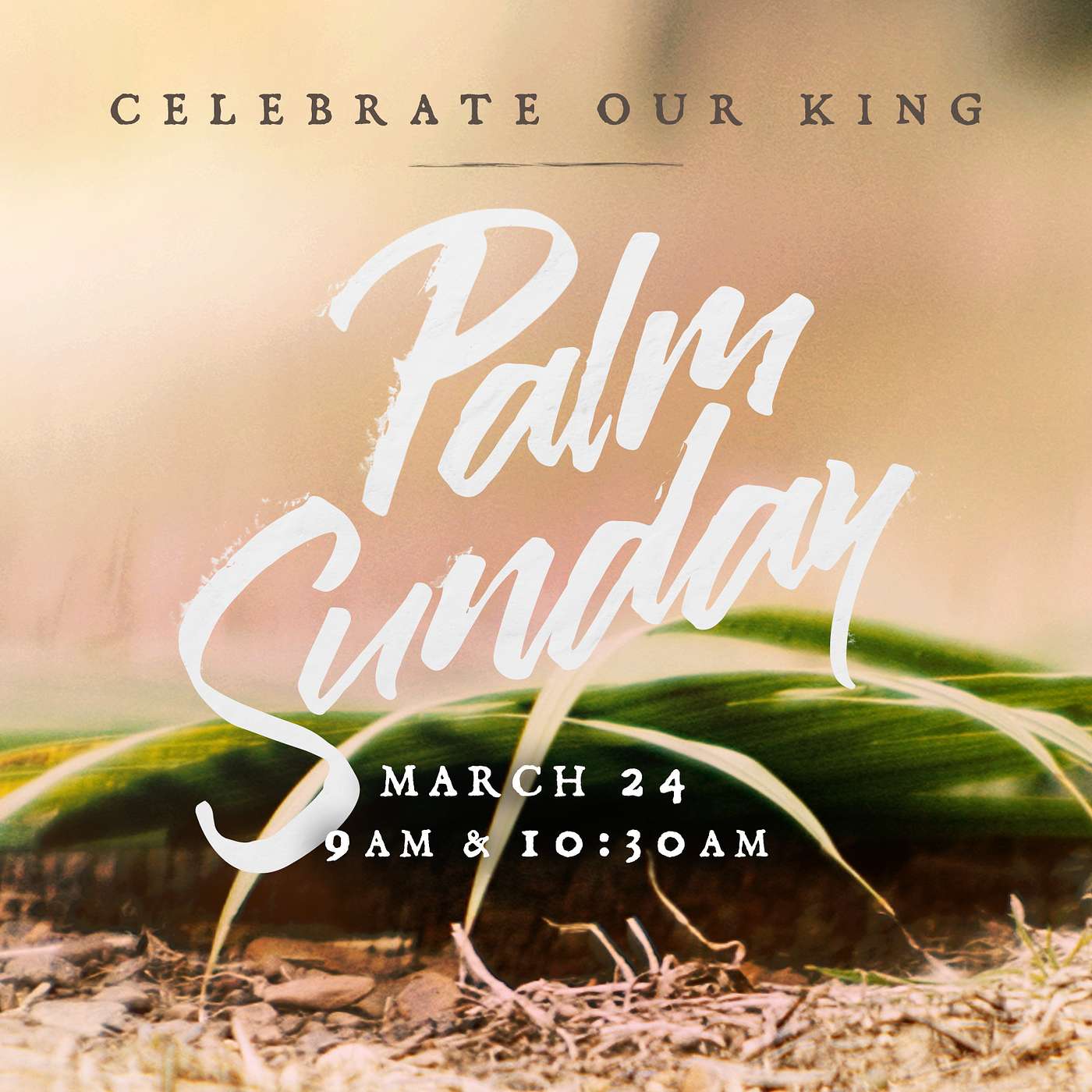 Palm Sunday 2024- The Stones Will Cry Out episode artwork