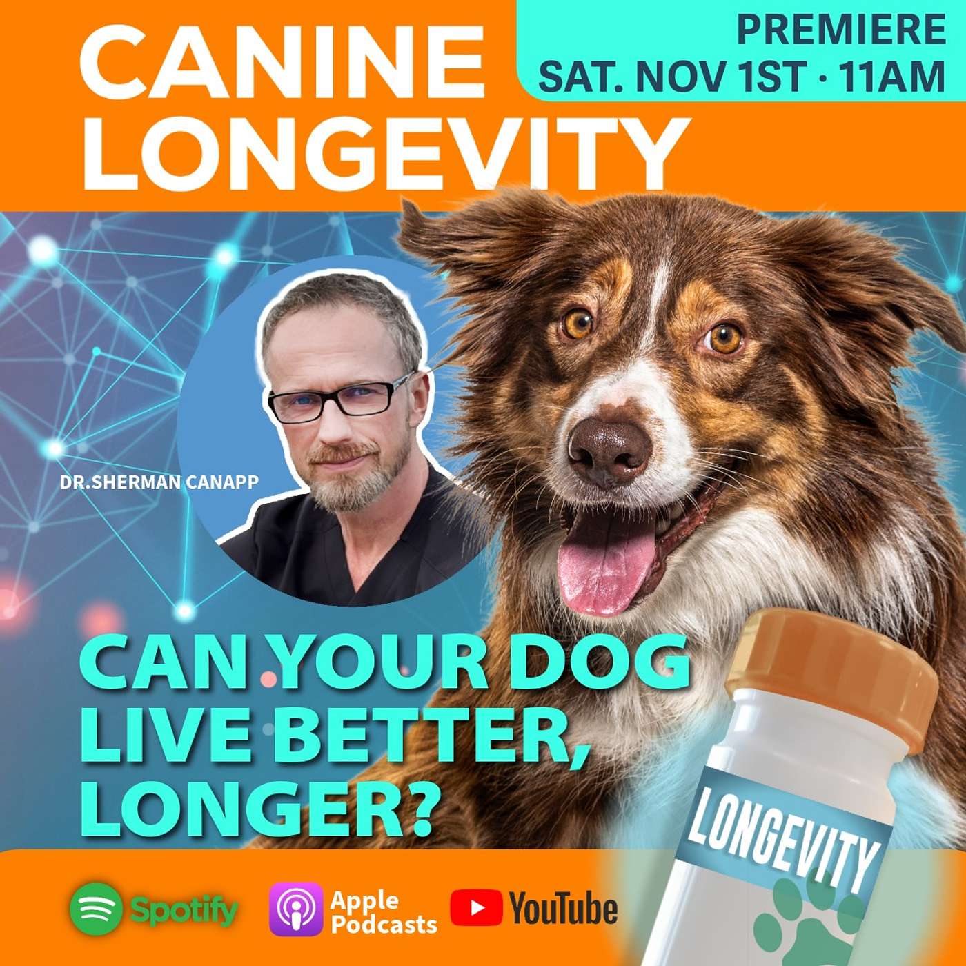 Can Your Dog Live Healthier, Longer