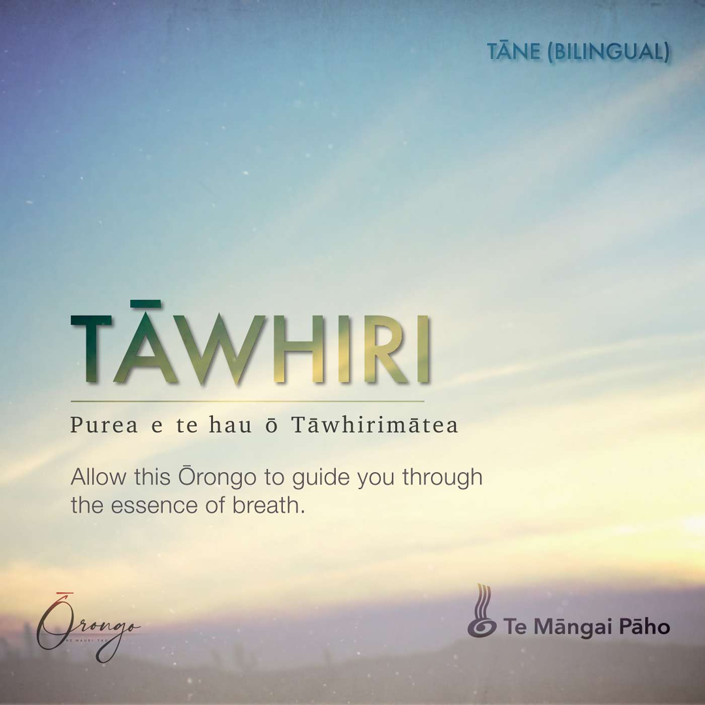 TĀWHIRI - Tāne (Bilingual)