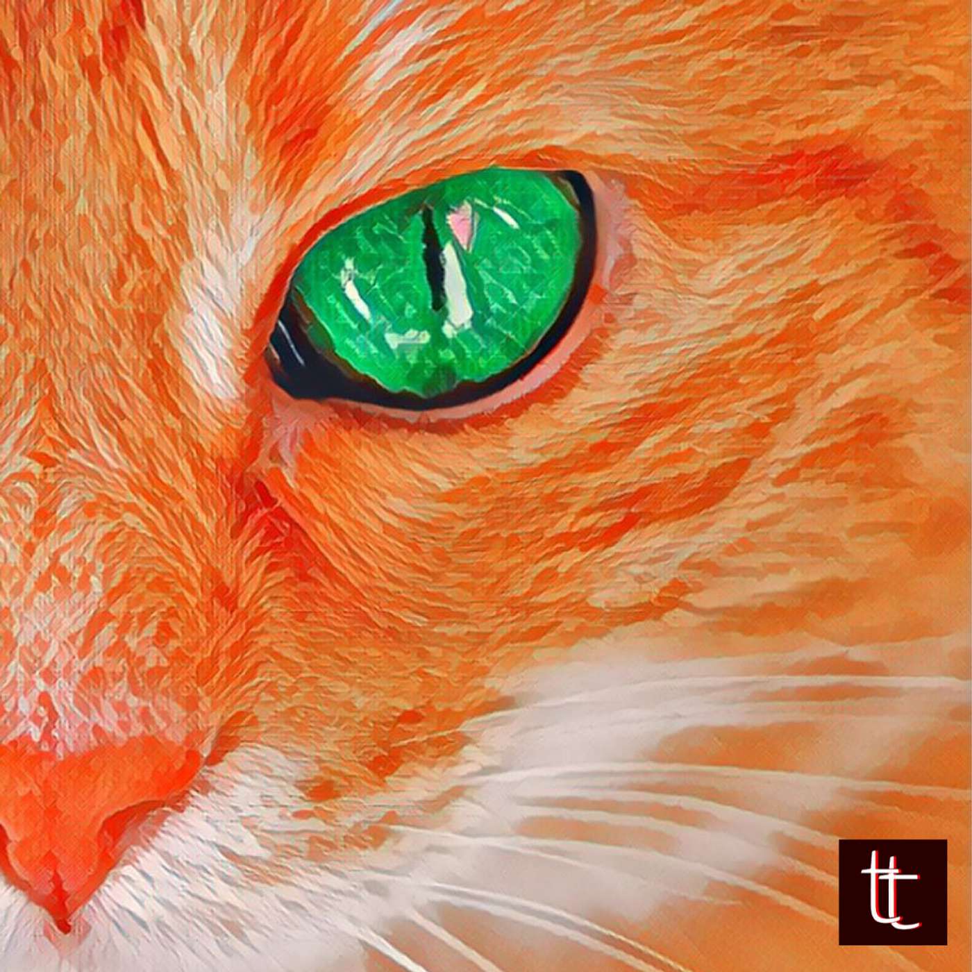 49: The Cat's Eyes