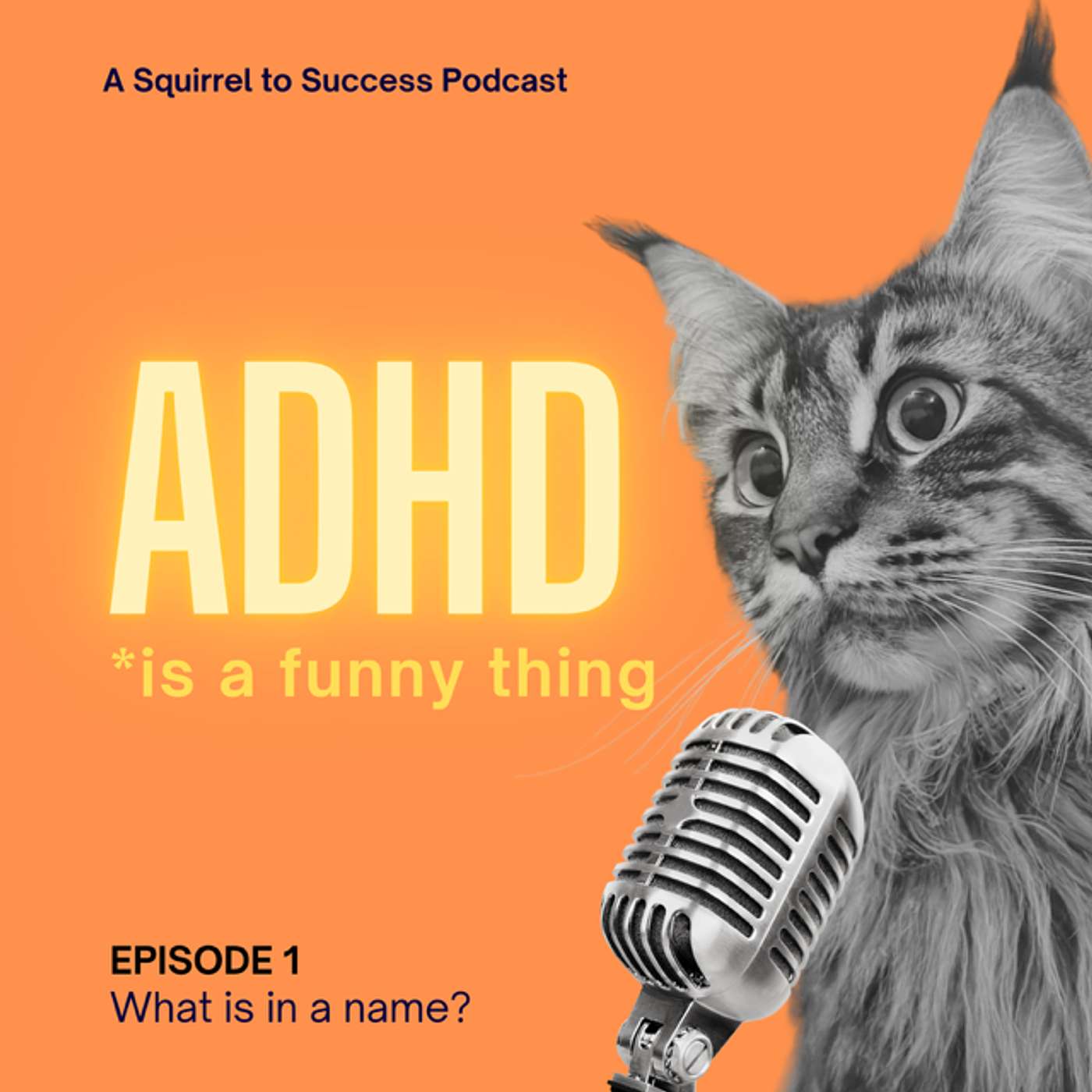 What is in a name?