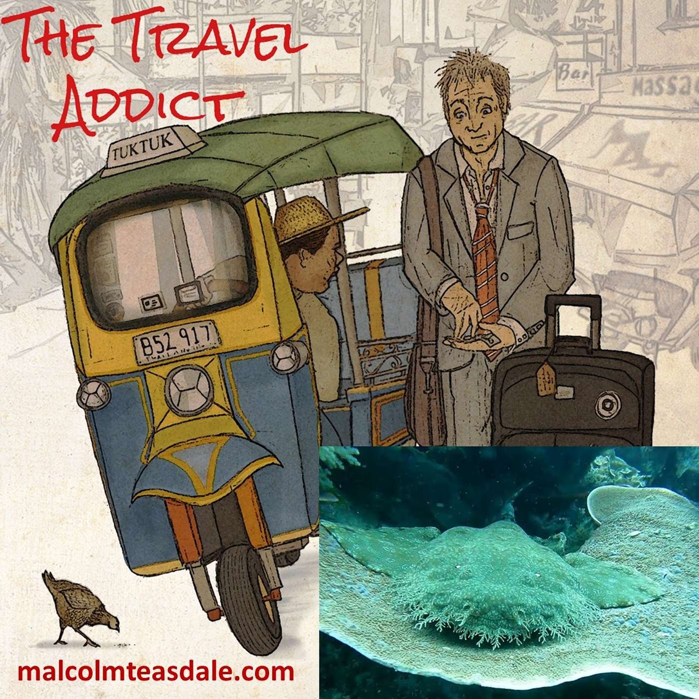 Scuba Diving - The Travel Addict's favorite dive sites in the World and why.