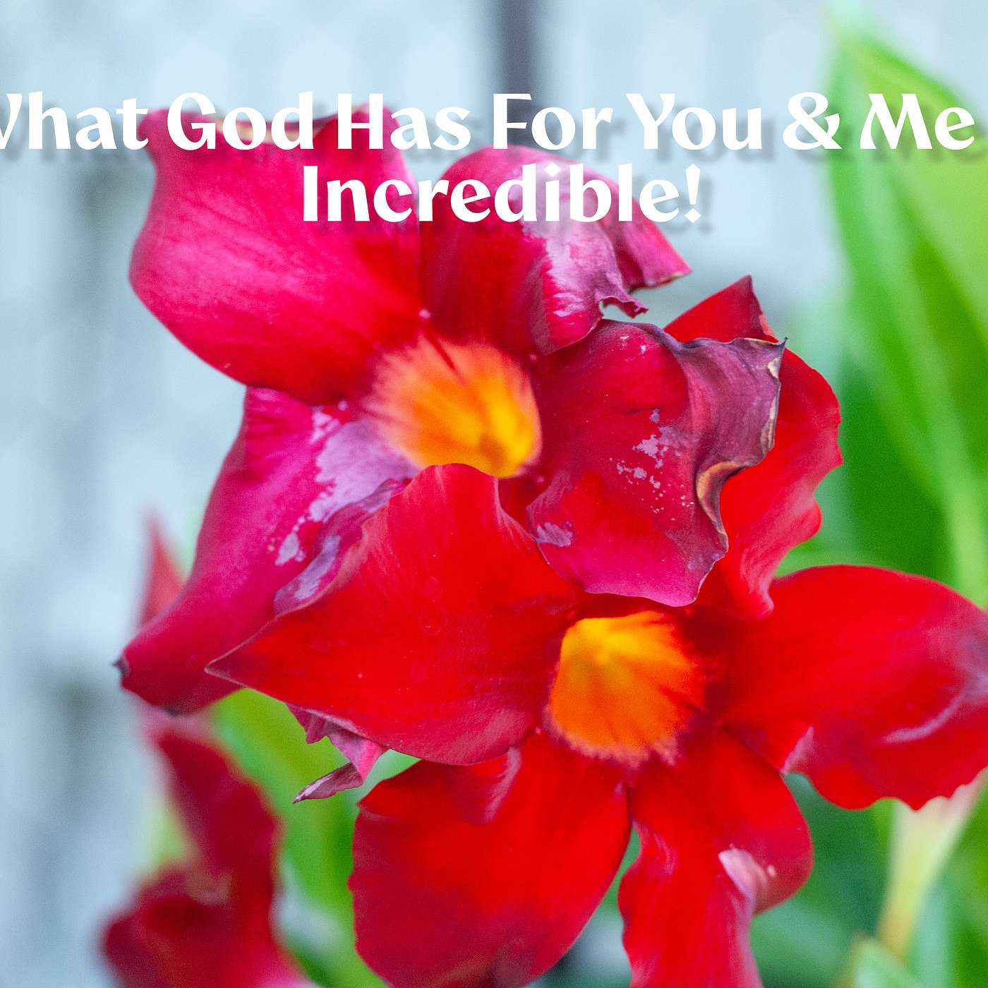 What God Has For You & Me Is Incredible!