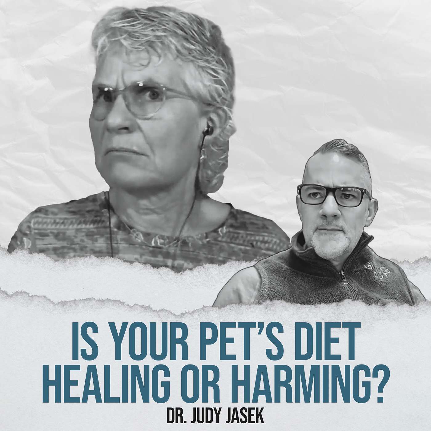 Is Your Pet's Diet Healing or Harming? - with Dr. Judy Jasek