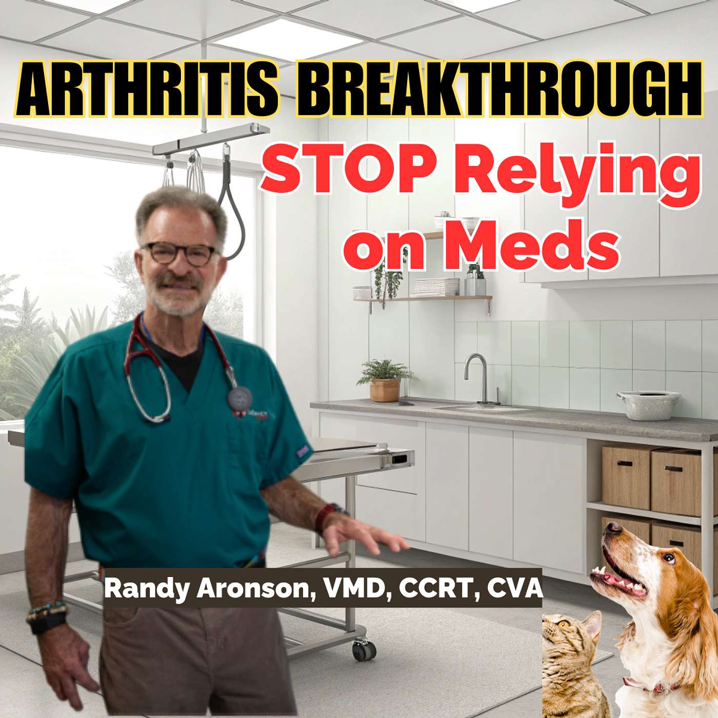 Paws, Reflect & Heal with Dr. Randy