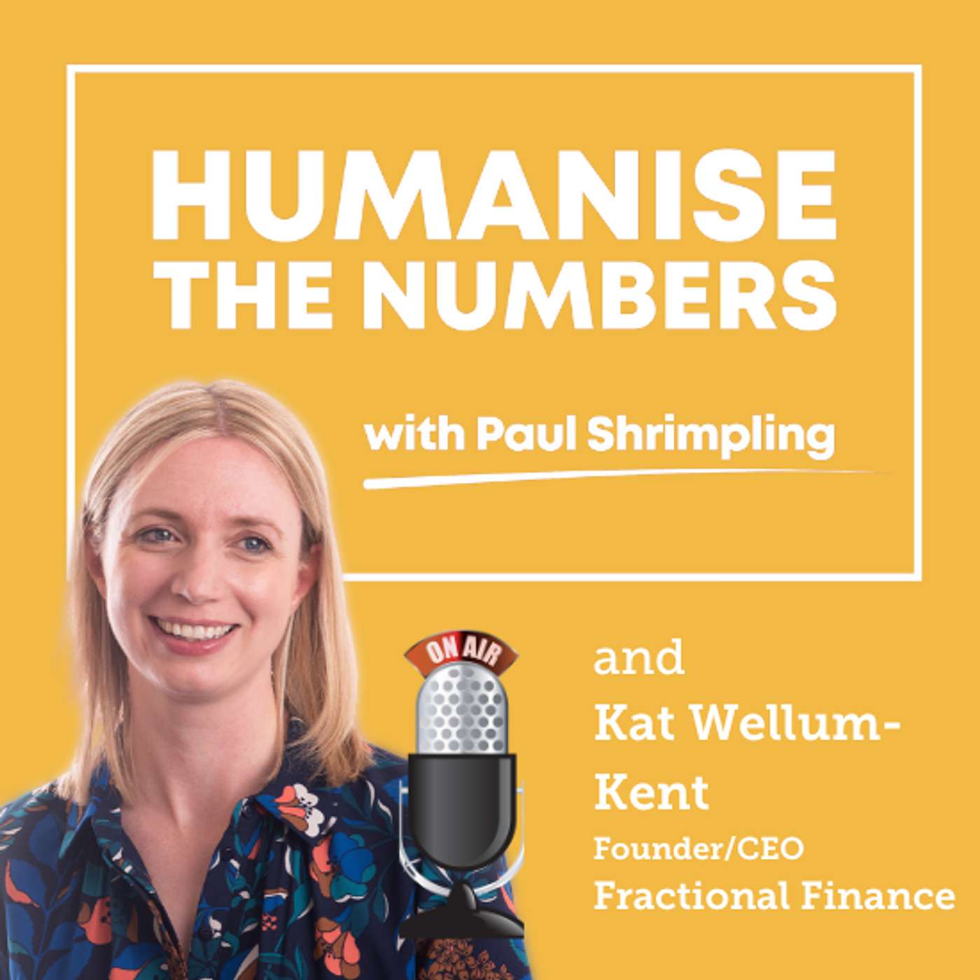 Humanise The Numbers - for ambitious accountants in practice